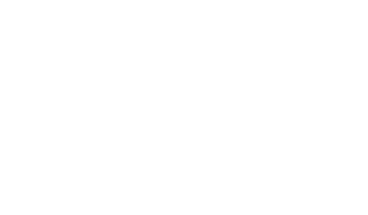 Logo FlipStage